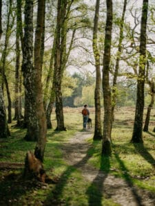 Walking your dog