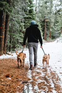 Walking two dogs