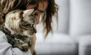 Cuddling Tabby