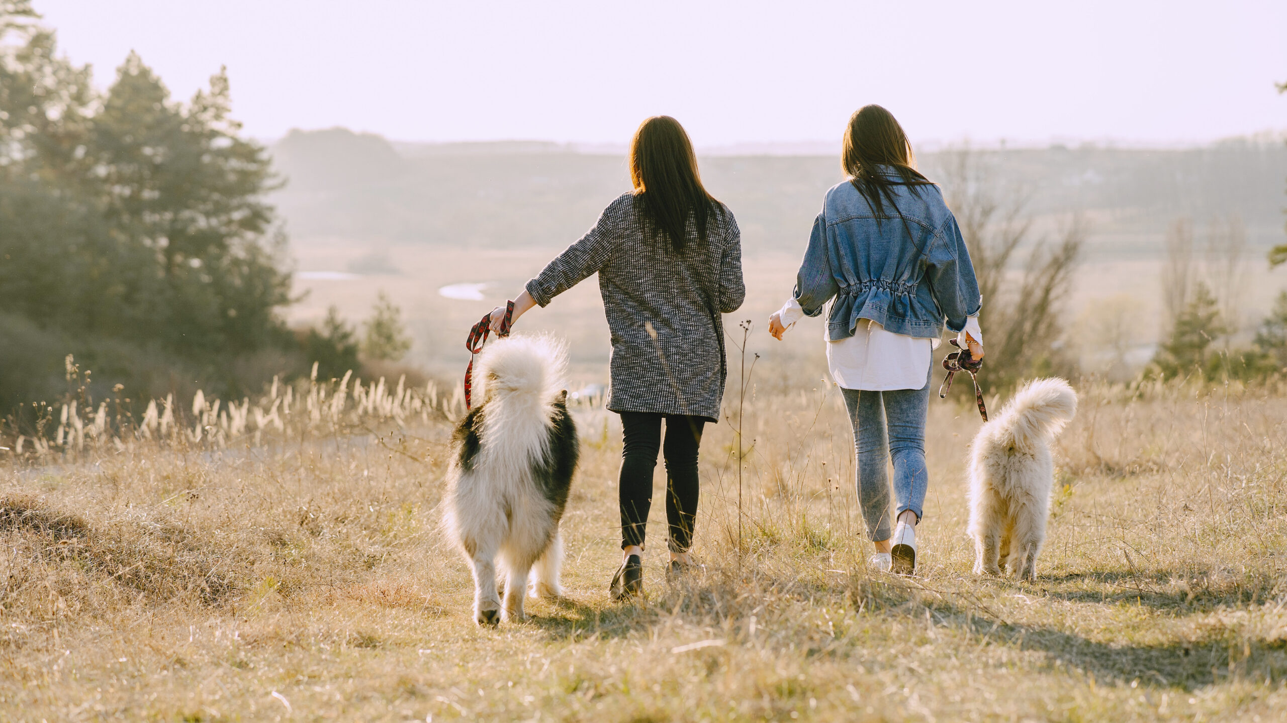 Two girls walk happily on a sunny day with their dogs, a method of regulating the nervous system.