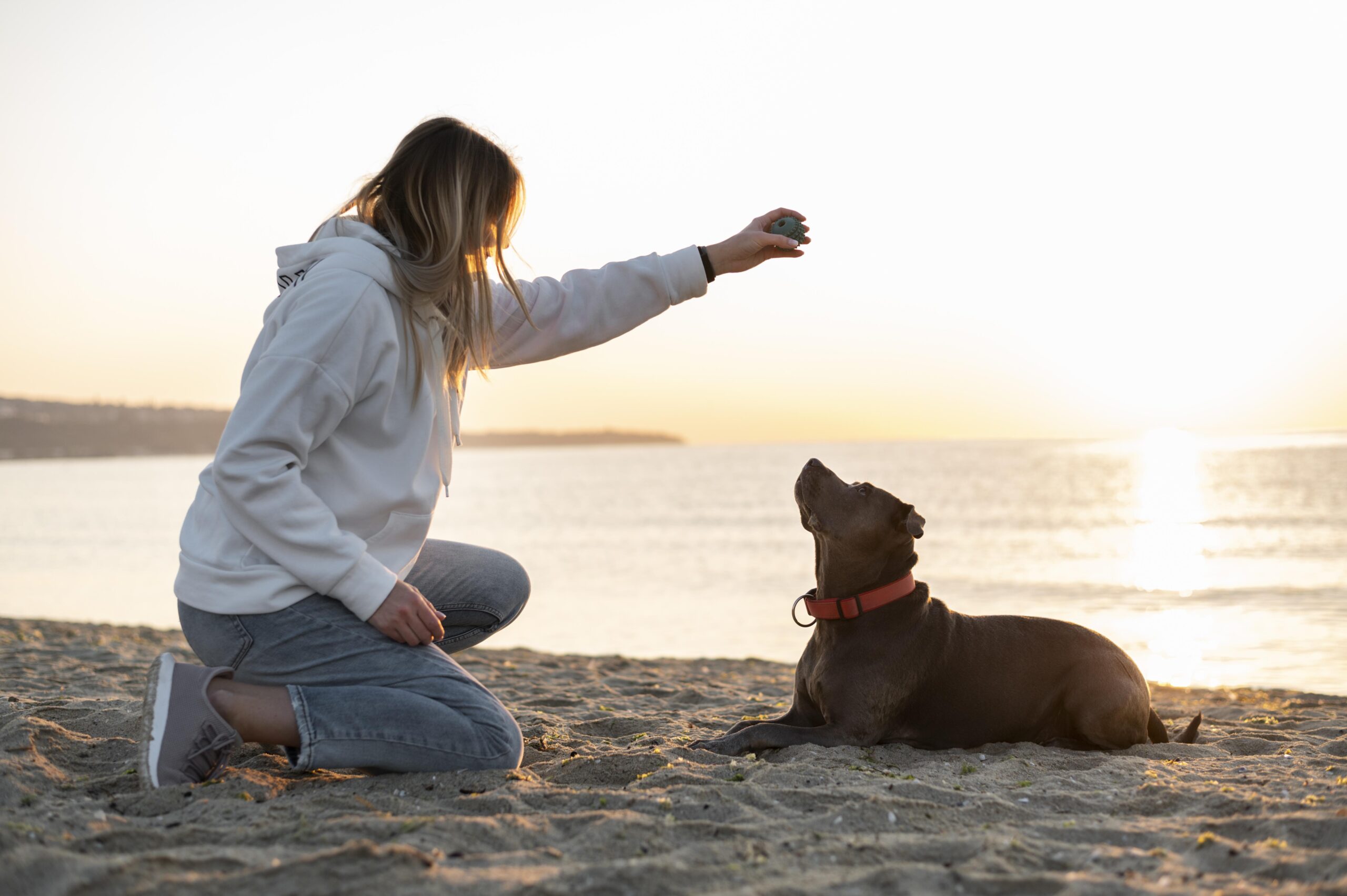 Read more about the article Why Your Nervous System Matters More Than Any Training Method